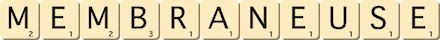 membraneuse membraneuse