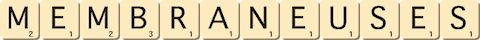 membraneuses membraneuses