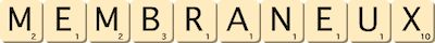 membraneux membraneux