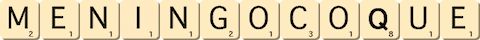 meningocoque meningocoque