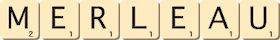 merleau merleau