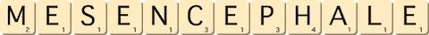 mesencephale mesencephale
