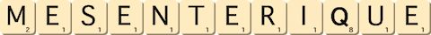 mesenterique mesenterique
