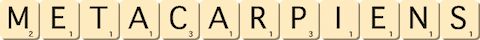 metacarpiens metacarpiens