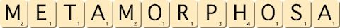 metamorphosa metamorphosa