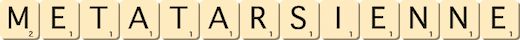 metatarsienne metatarsienne
