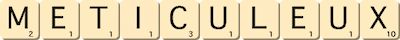 meticuleux meticuleux