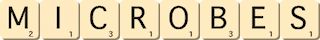 microbes