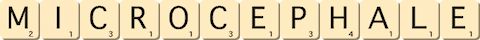 microcephale microcephale