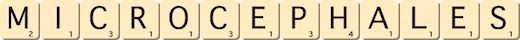 microcephales microcephales