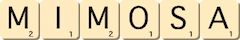 mimosa mimosa