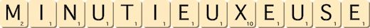 minutieux--euse