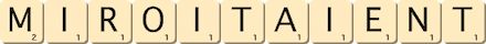 miroitaient miroitaient