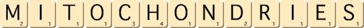 mitochondries mitochondries