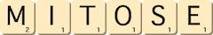 mitose