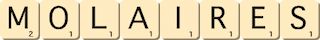 molaires molaires