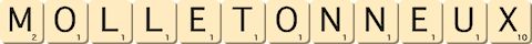 molletonneux molletonneux