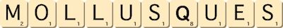 mollusques