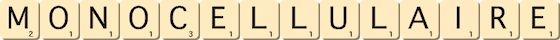 monocellulaire monocellulaire