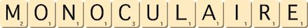 monoculaire monoculaire