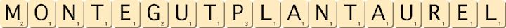 montegut-plantaurel