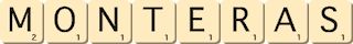monteras monteras