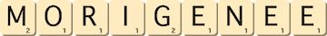 morigenee morigenee