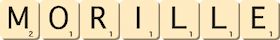 morille
