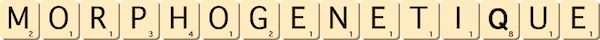 morphogenetique morphogenetique