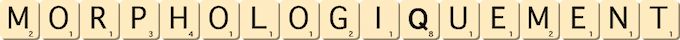 morphologiquement