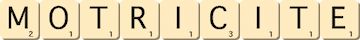 motricite