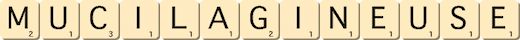 mucilagineuse mucilagineuse