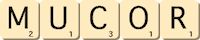 mucor mucor