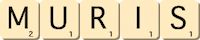 muris muris