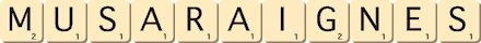 musaraignes
