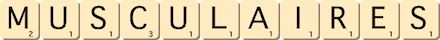 musculaires musculaires