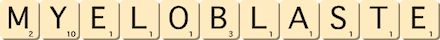 myeloblaste myeloblaste