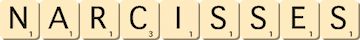 narcisses