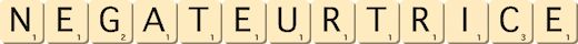 negateur--trice