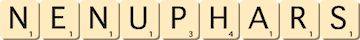 nenuphars nenuphars