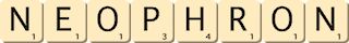 neophron