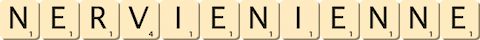 nervien--ienne