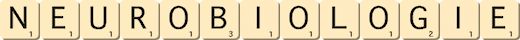 neurobiologie neurobiologie