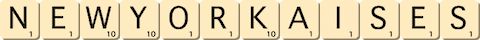 new-yorkaises new-yorkaises