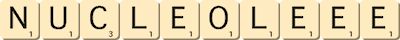 nucleole--ee