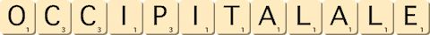 occipital--ale
