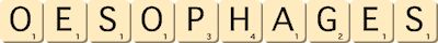 oesophages oesophages