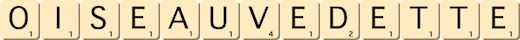 oiseau-vedette oiseau-vedette
