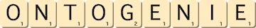 ontogenie