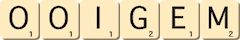 ooigem ooigem